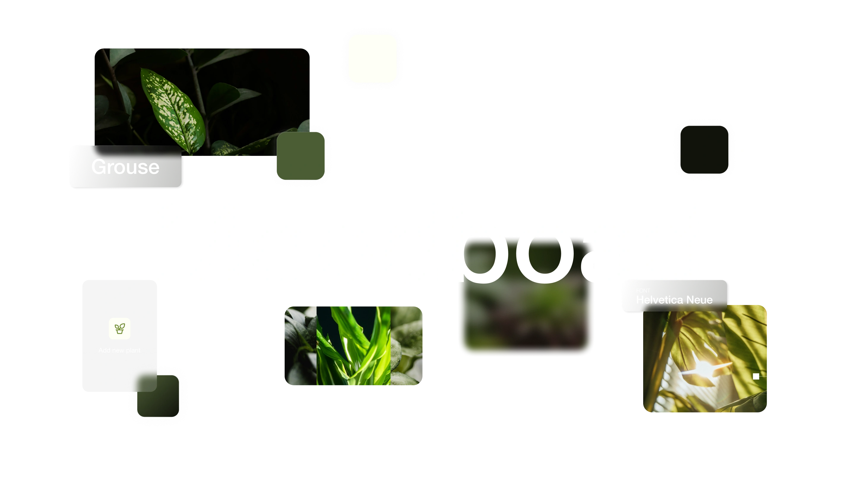 Grouse moodboard: botanical photography, green and cream colors, glass surfaces and Helvetica Neue typography
